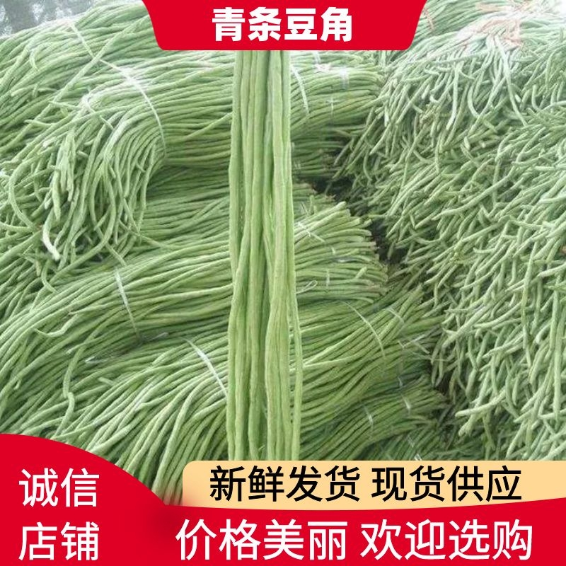 江苏精品豆角，诚信代办，货真价实，一手货源，品质保证