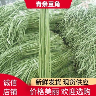 江苏精品豆角，诚信代办，货真价实，一手货源，品质保证