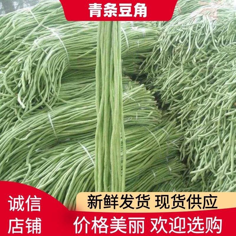 江苏精品豆角，诚信代办，货真价实，一手货源，品质保证