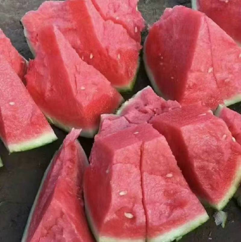 夏邑美都西瓜原产地直发现货供应质量保证价格优惠量大