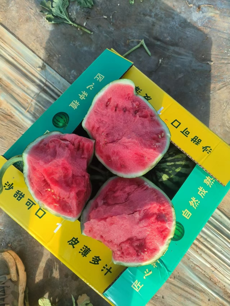 夏邑美都西瓜原产地直发现货供应质量保证价格优惠量大