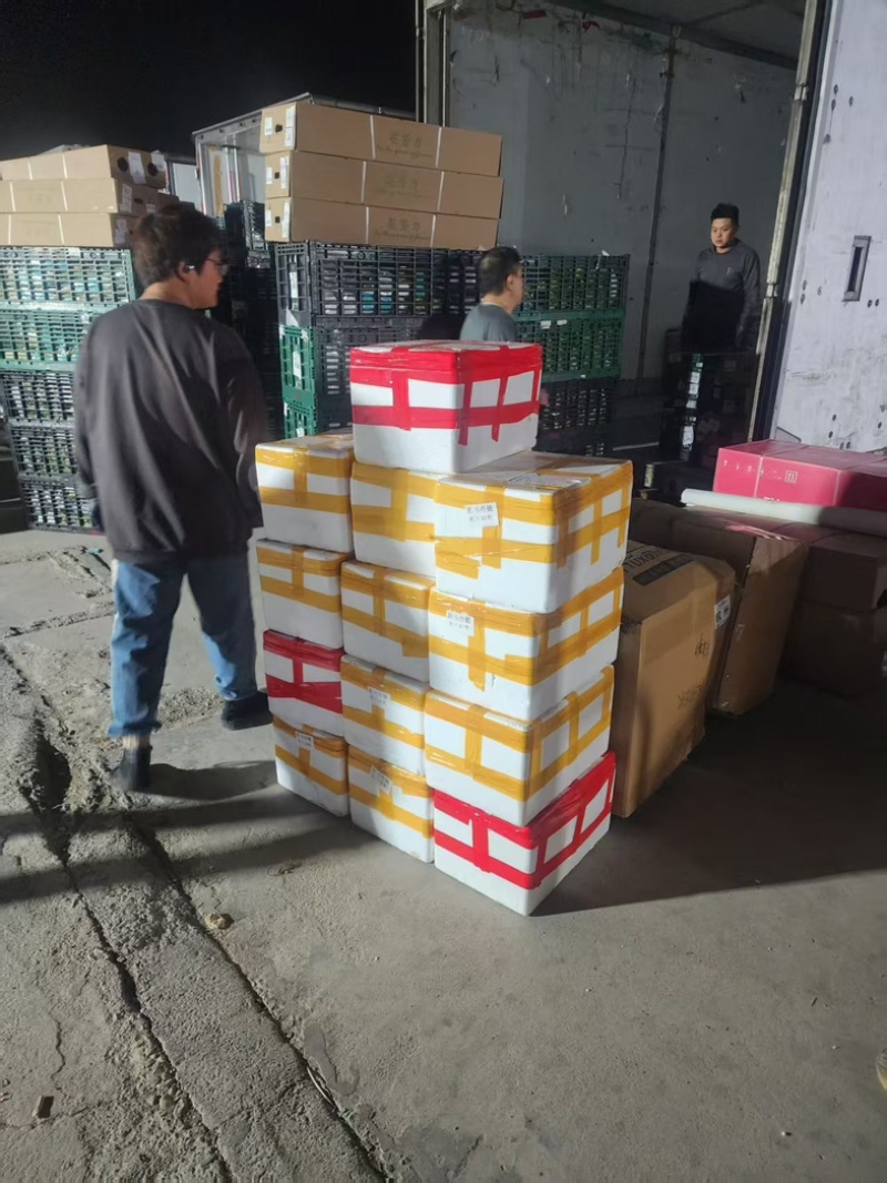 蔬菜水果等冷链零担产品物流运输详情可电联
