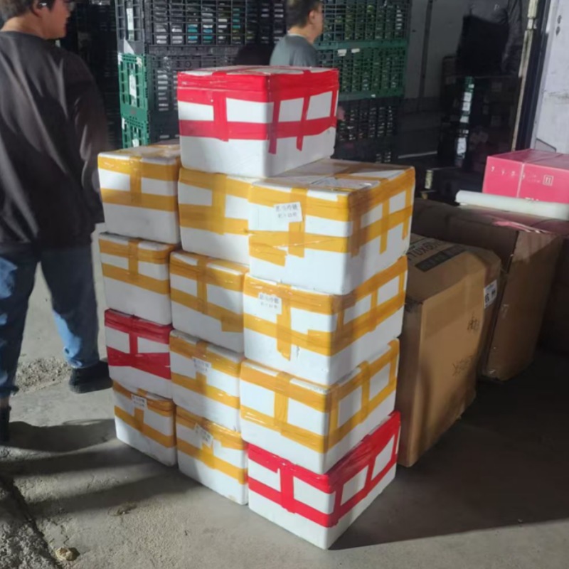 冷链物流运输价格可谈全面可发车各品种都可发车