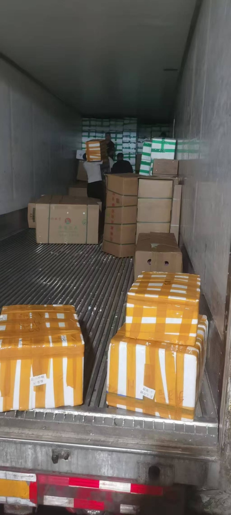 物流运输承担各种蔬菜水果等冷链零担产品