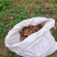 广西《土姜黄》药厂检测达标含量6.9以上自家种植欢迎考察