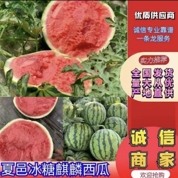 美都西瓜大量上市，一手货源质量好，支持各种包装价格不高。