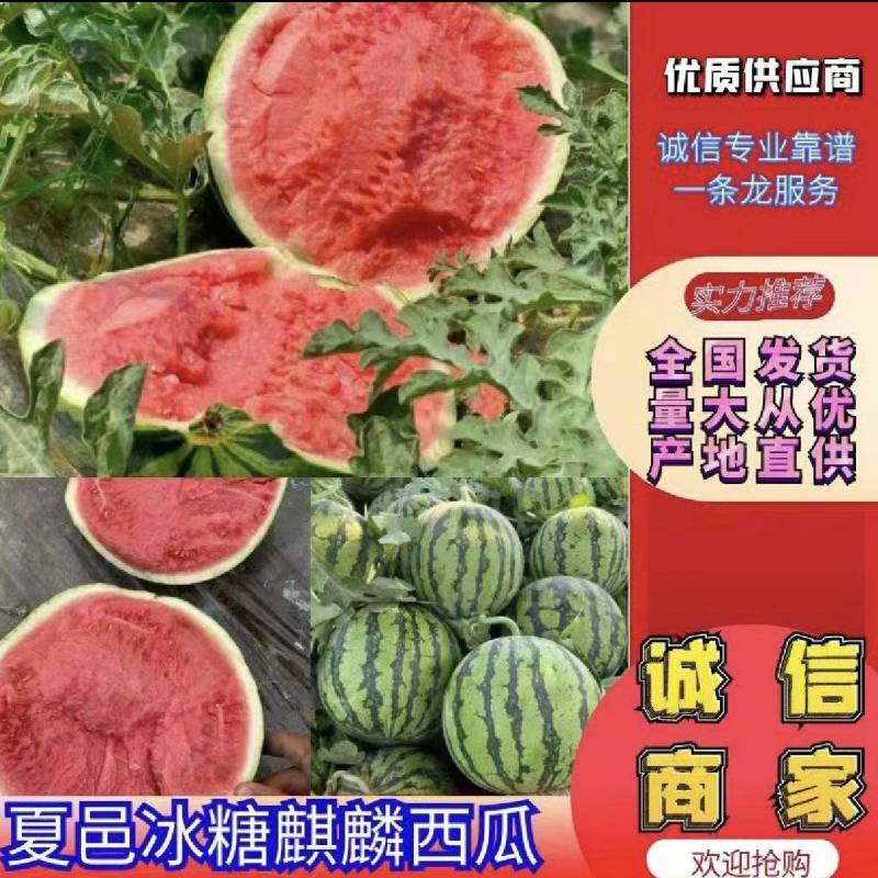 美都西瓜大量上市，一手货源质量好，支持各种包装价格不高。