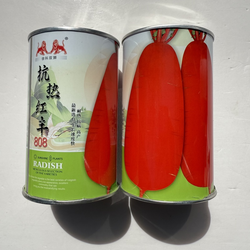抗热红丰808萝卜种子早熟高产耐热春夏季播红皮萝卜种籽