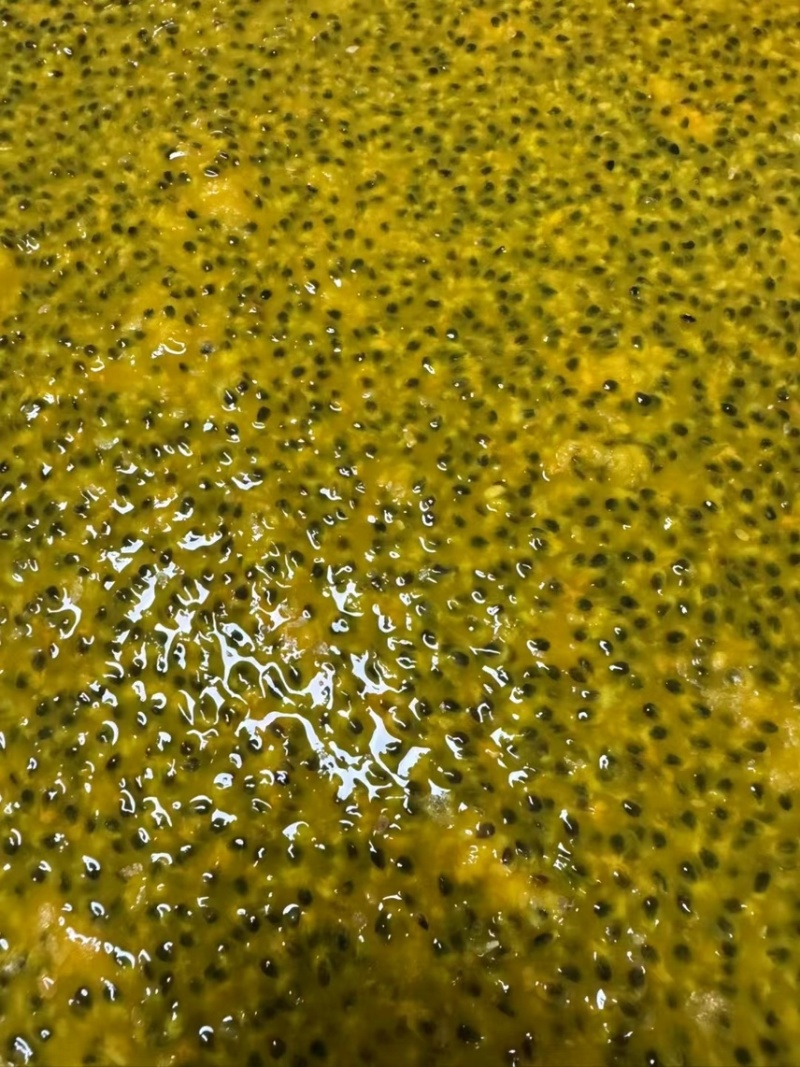 广西百香果原酱大包装