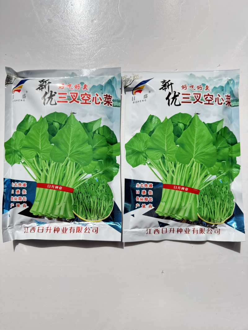 新优三叉空心菜种子抗病高产农家大田春秋四季蔬菜种孑