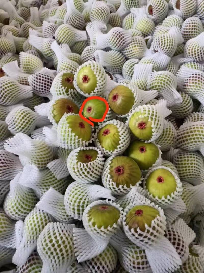 五花果云南产地一手货源，全年四季大量供货