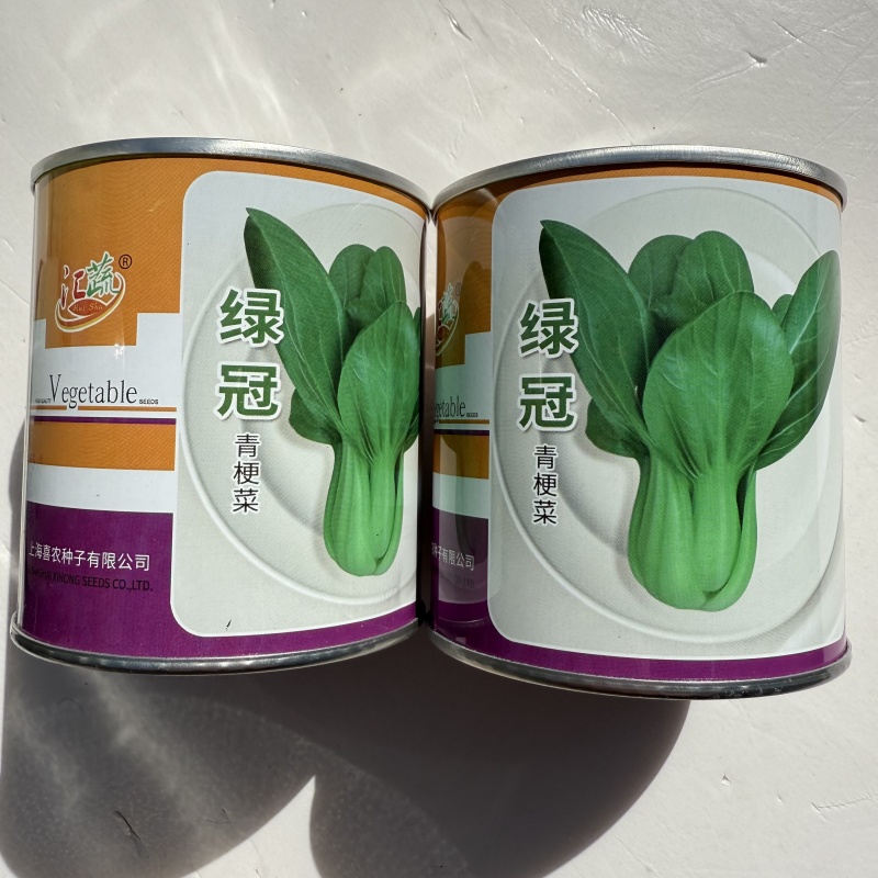 绿冠青梗菜种子大叶面圆叶高产抗病耐热耐湿抗霜霉软腐青梗菜
