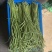 四季豆，芸豆，菜豆，玉豆，芜湖本地大量上市中，颜色好，