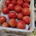 四季豆，芸豆，菜豆，玉豆，芜湖本地大量上市中，颜色好，