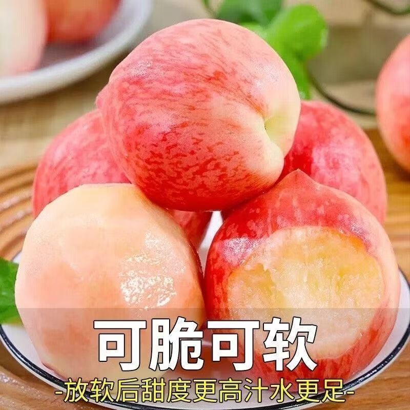 乐亭温室春雪桃大量现货上市中现摘现发一条龙服务诚信合作
