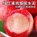 乐亭温室春雪桃大量现货上市中现摘现发一条龙服务诚信合作