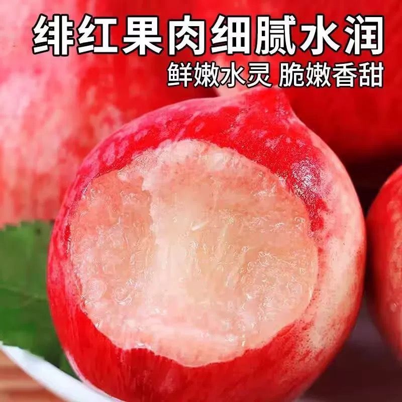 乐亭温室春雪桃大量现货上市中现摘现发一条龙服务诚信合作