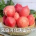 乐亭温室春雪桃大量现货上市中现摘现发一条龙服务诚信合作