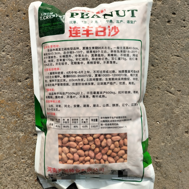 连丰白沙早熟花生种子抗旱涝密植薄壳油食兼用人工脱壳