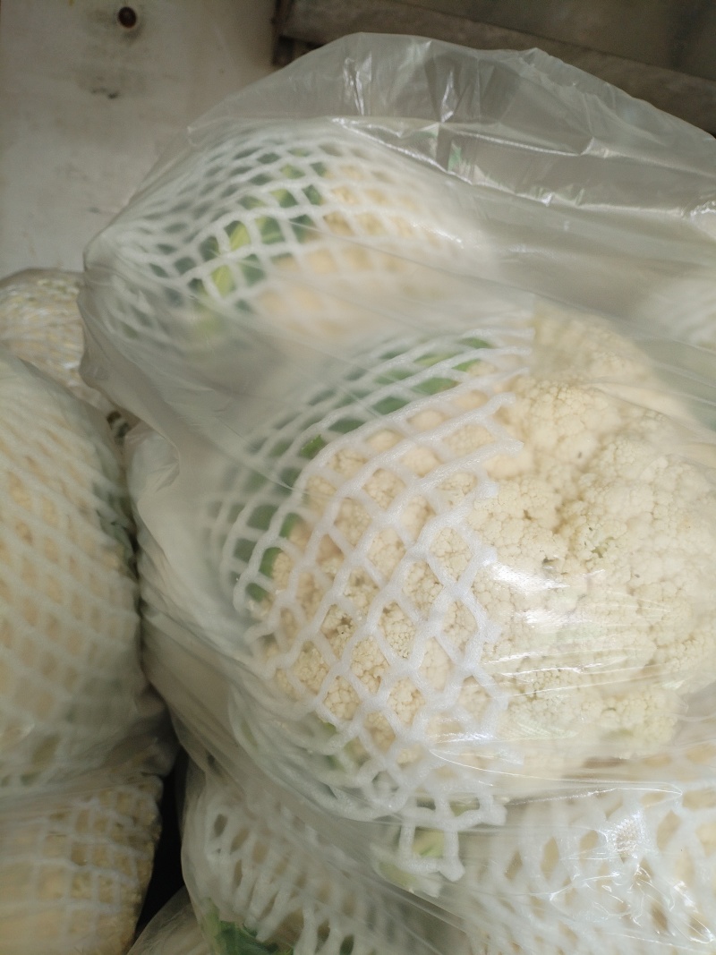 精品有机花菜大量上市，欢迎全国客商前来选购，代发