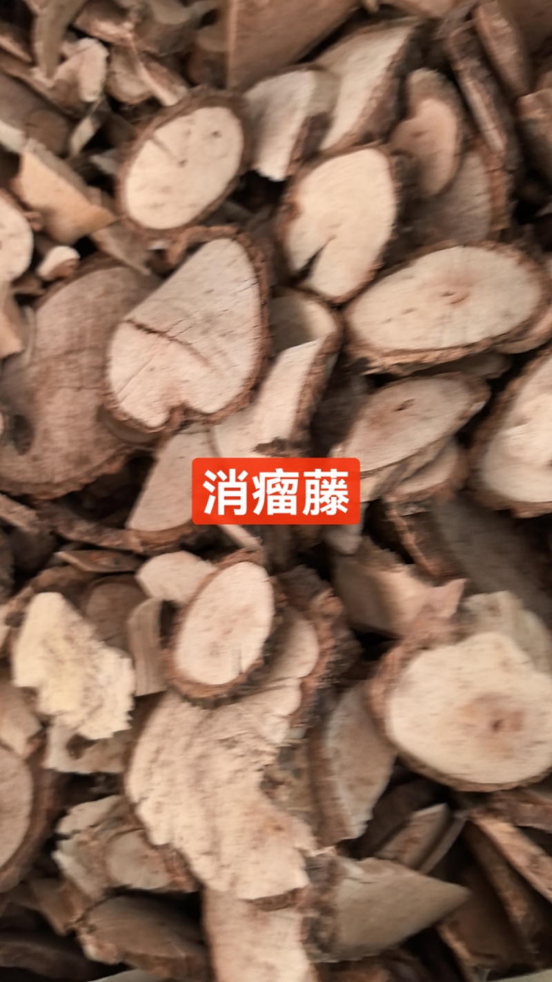 消瘤藤