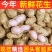 农家新鲜春季花生，手选精品