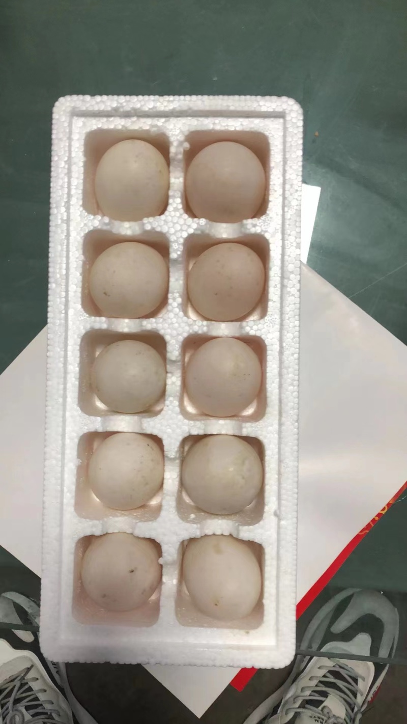 鹅蛋