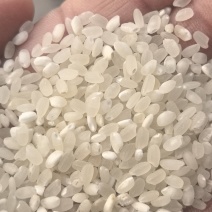 新粮大米厂家直供。