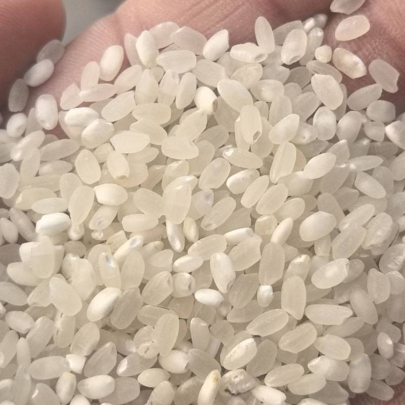 新粮大米厂家直供。