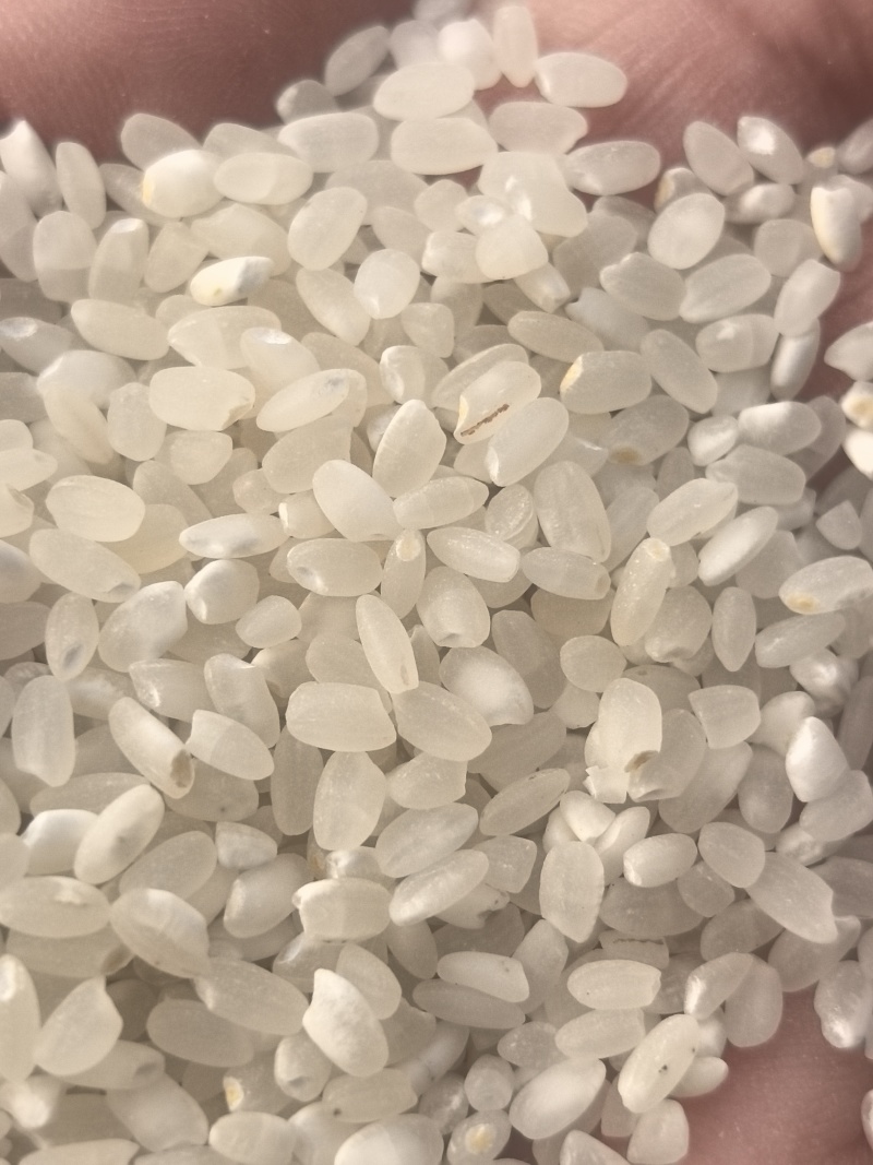 新粮大米厂家直供。