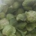 陕西汉中洋县甘蓝包菜当天发货质量有保障需要的快联系