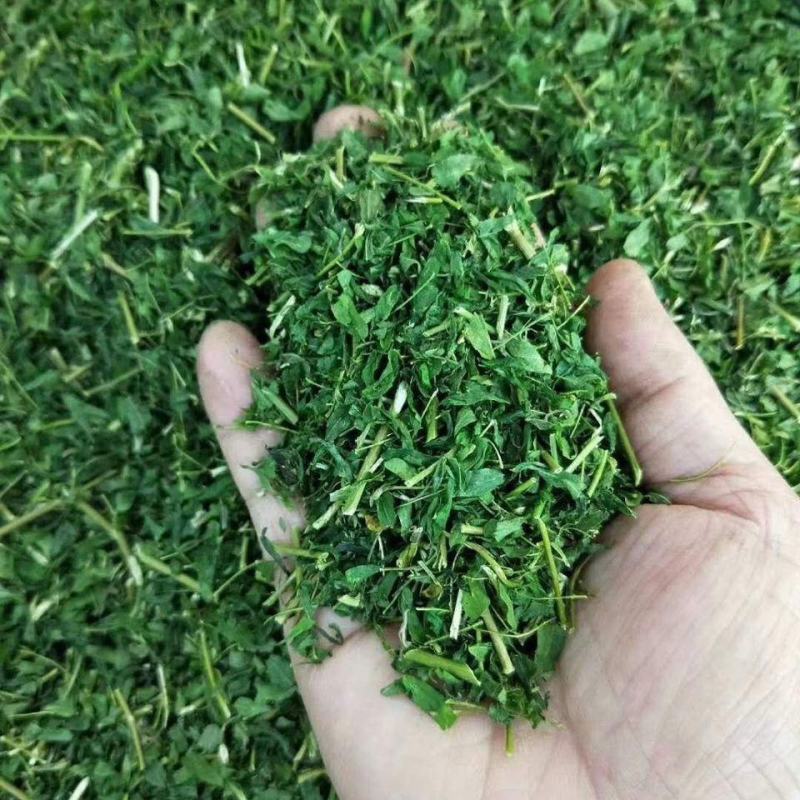 ***晒干相思藤茶，无烟无硫