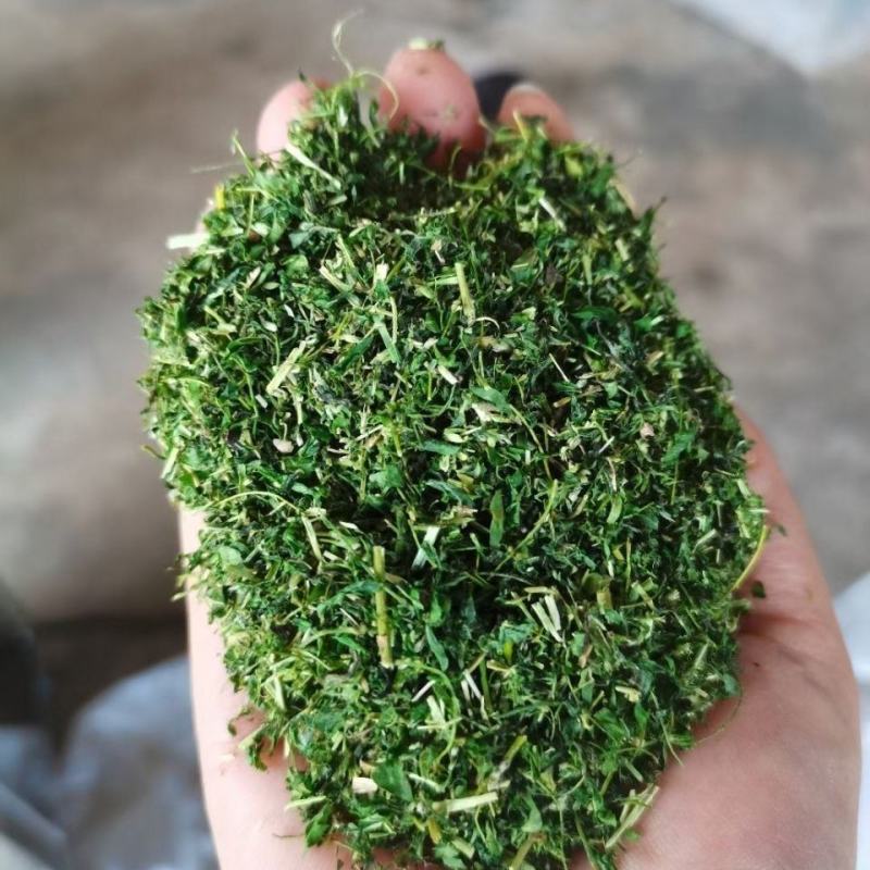 ***晒干相思藤茶，无烟无硫