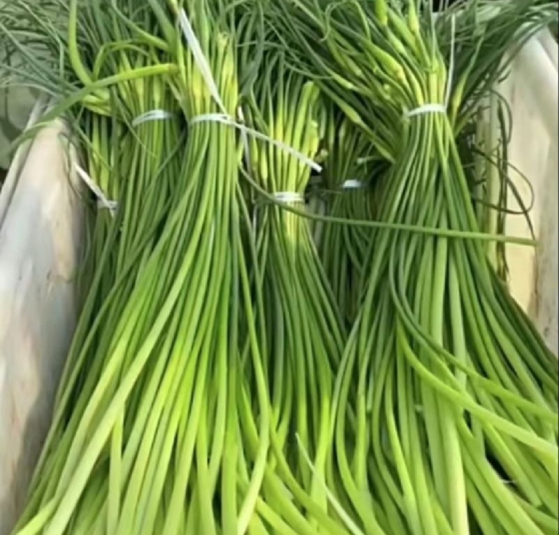 【推荐】山东白帽蒜薹供应市场商超一手货源保质保量