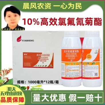10%高效氯氟氰菊酯功夫菊酯菜青虫专用老牌子杀虫剂正品