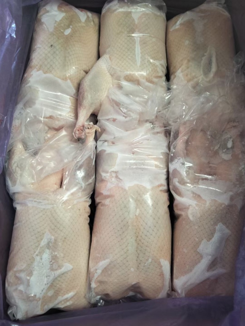 白条全鸭烤鸭卤鸭冻品规格齐全全国发货物流冷链配送