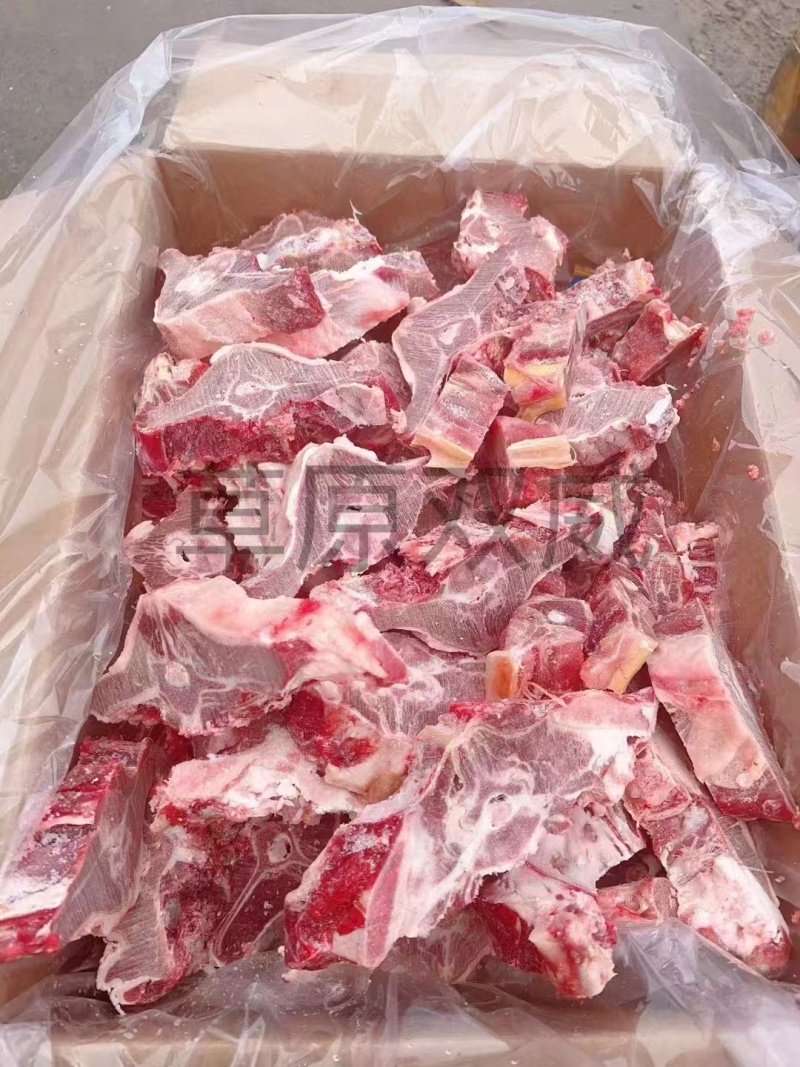 满肉羊蝎子