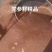 甘肃白条党参籽