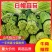 【推荐】山东白帽蒜薹供应市场商超一手货源保质保量