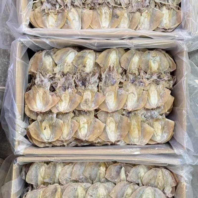 墨鱼干各种规格墨鱼干头数齐全质良价优