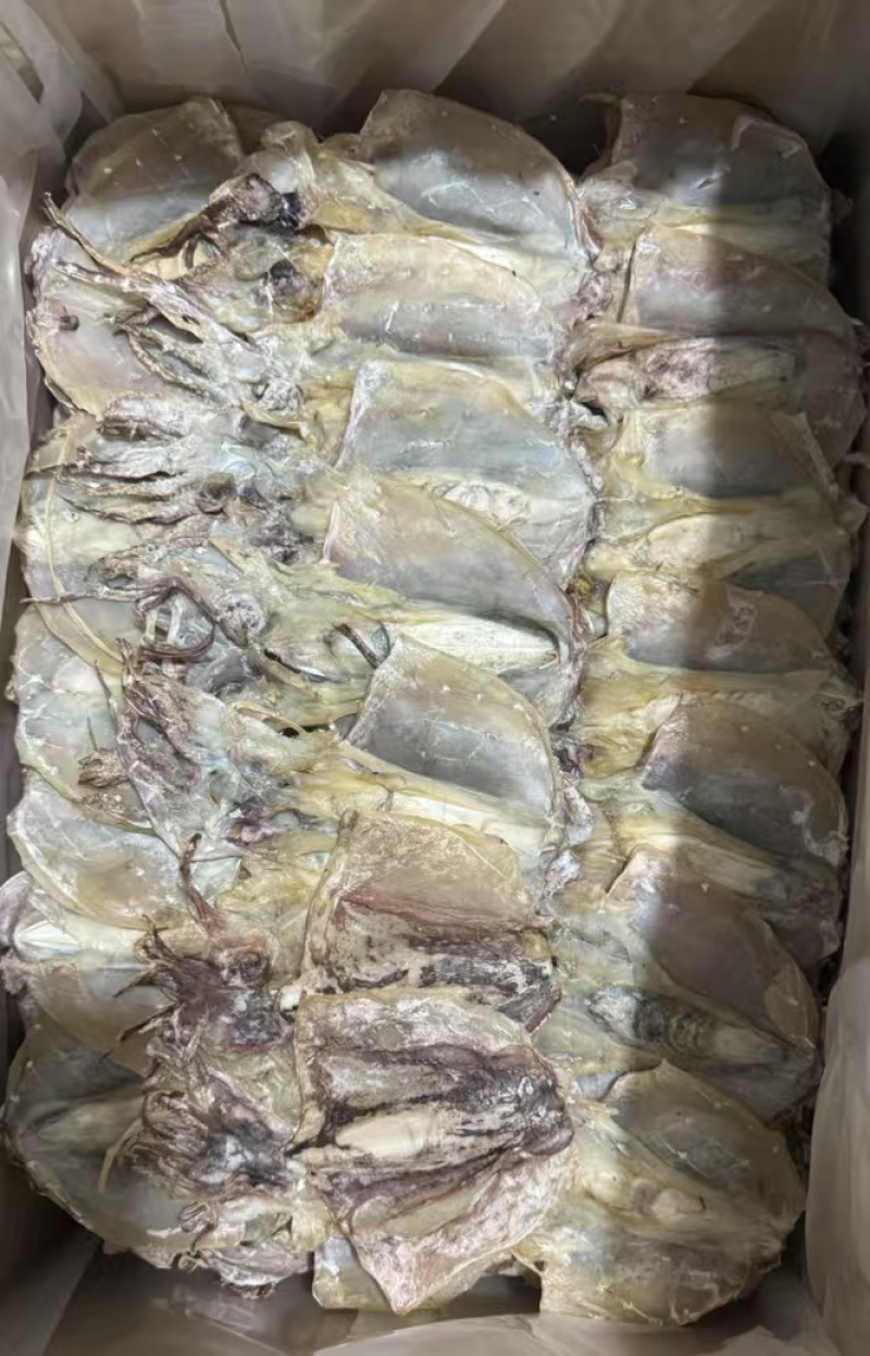 墨鱼干各种规格墨鱼干头数齐全质良价优