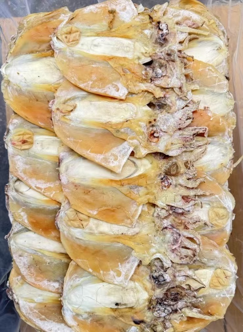 墨鱼干各种规格墨鱼干头数齐全质良价优