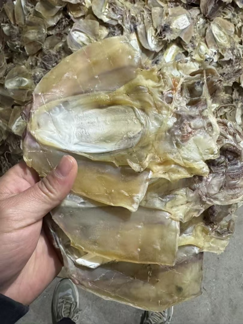 墨鱼干各种规格墨鱼干头数齐全质良价优