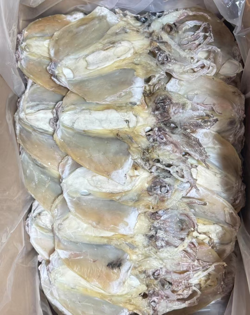 墨鱼干各种规格墨鱼干头数齐全质良价优