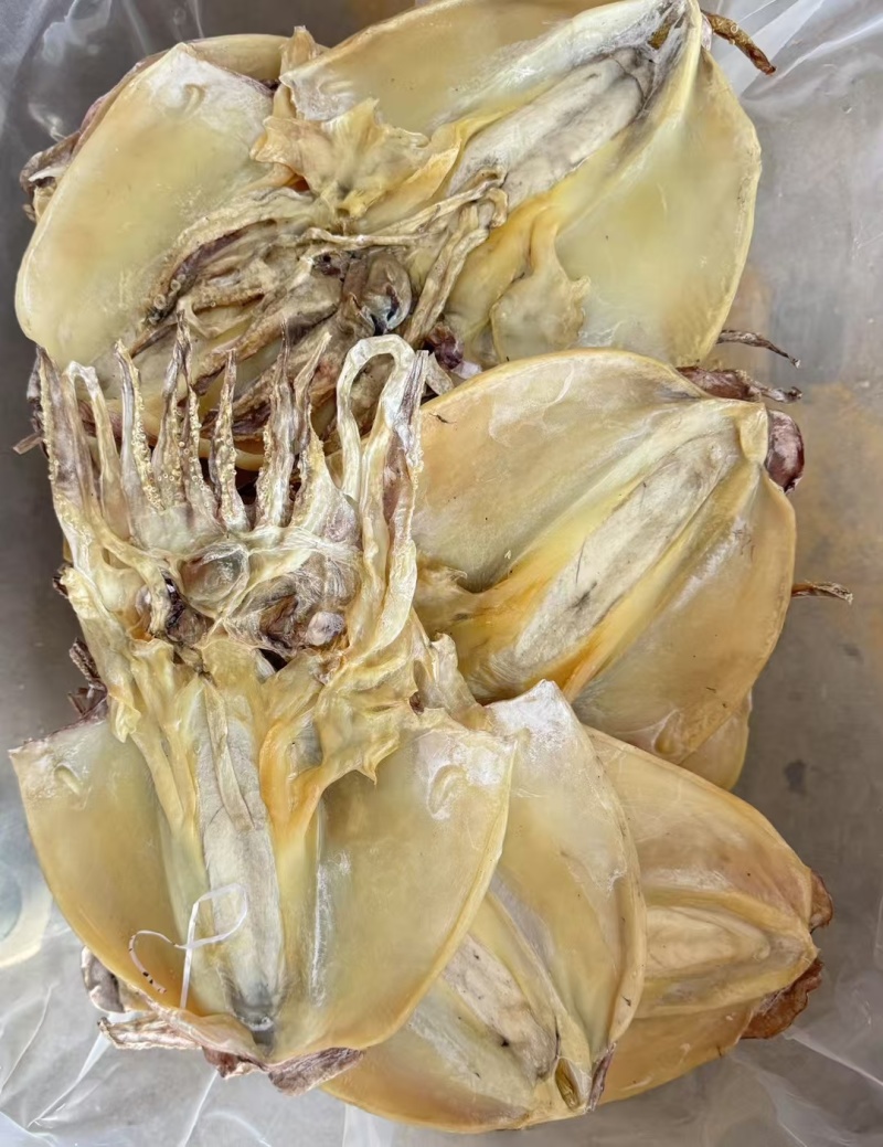 墨鱼干各种规格墨鱼干头数齐全质良价优