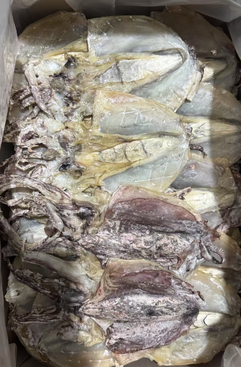 墨鱼干各种规格墨鱼干头数齐全质良价优