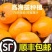 贵州高山蜂糖枇杷电商市场，一件也代发一件