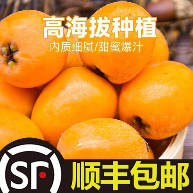 贵州高山蜂糖枇杷电商市场，一件也代发一件