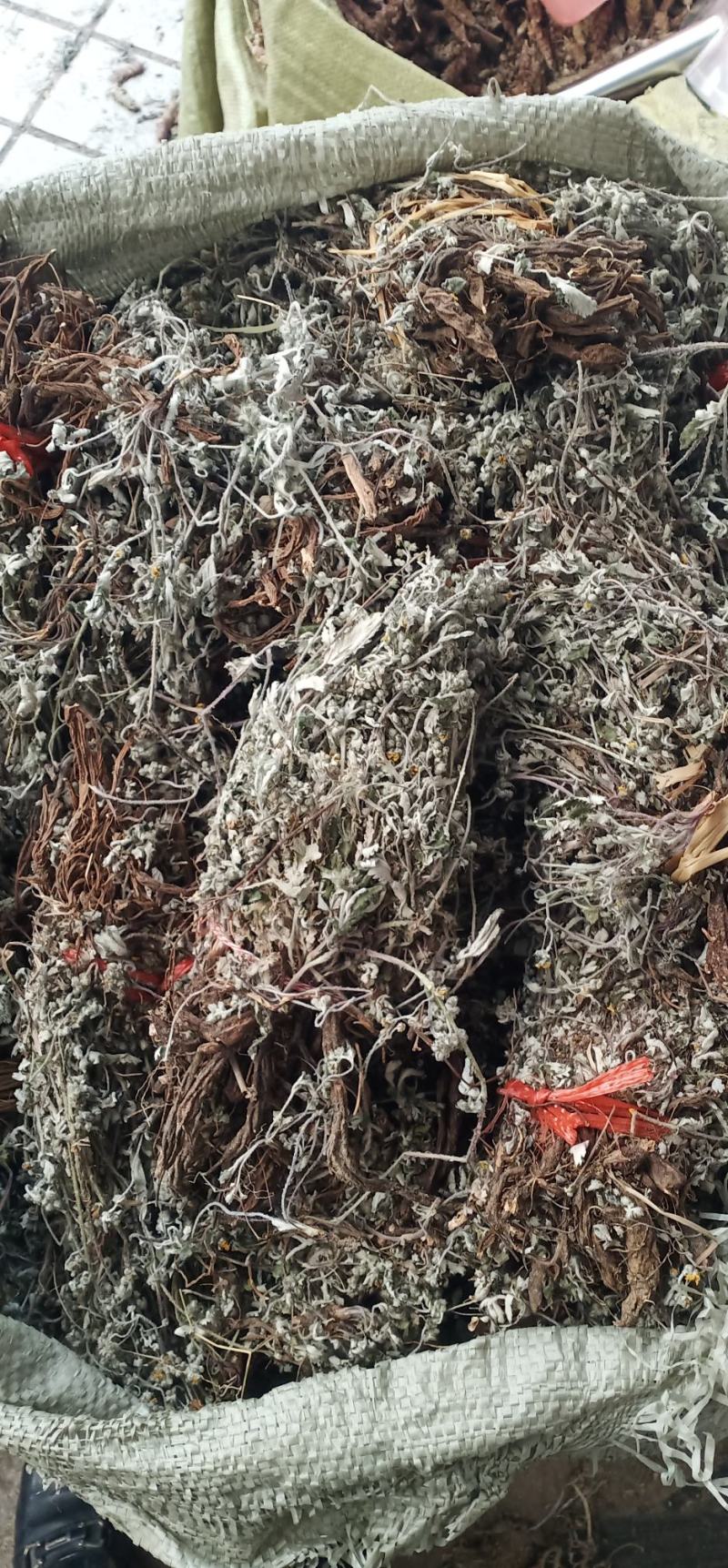 翻白草扎把中药批发一手货源量大忧惠全国发货