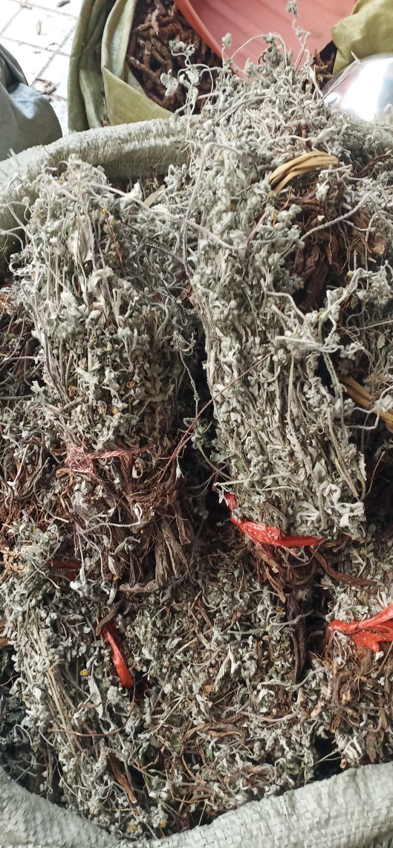 翻白草扎把中药批发一手货源量大忧惠全国发货